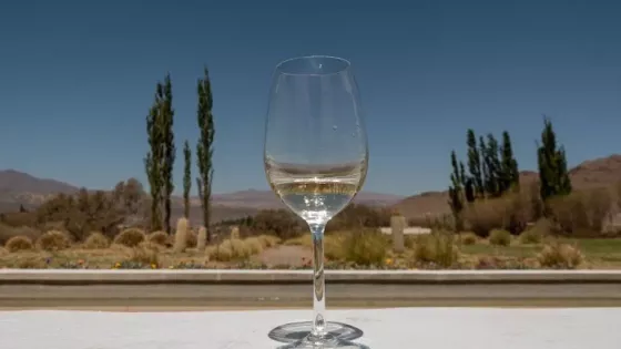 104209-jornadas-de-capacitacion-turistica-en-el-marco-de-la-semana-del-torrontes